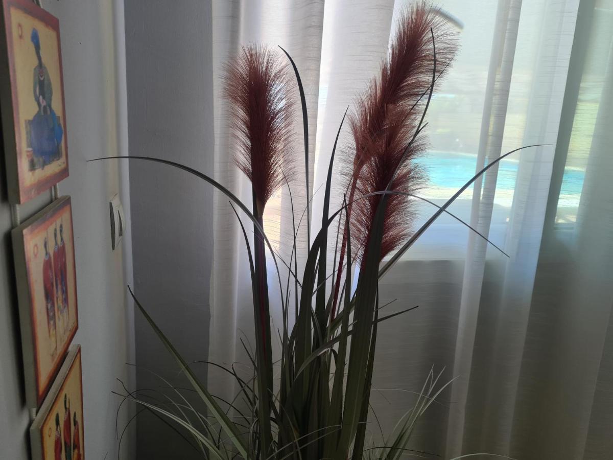 Apartamento El Remo Torremolinos Bagian luar foto